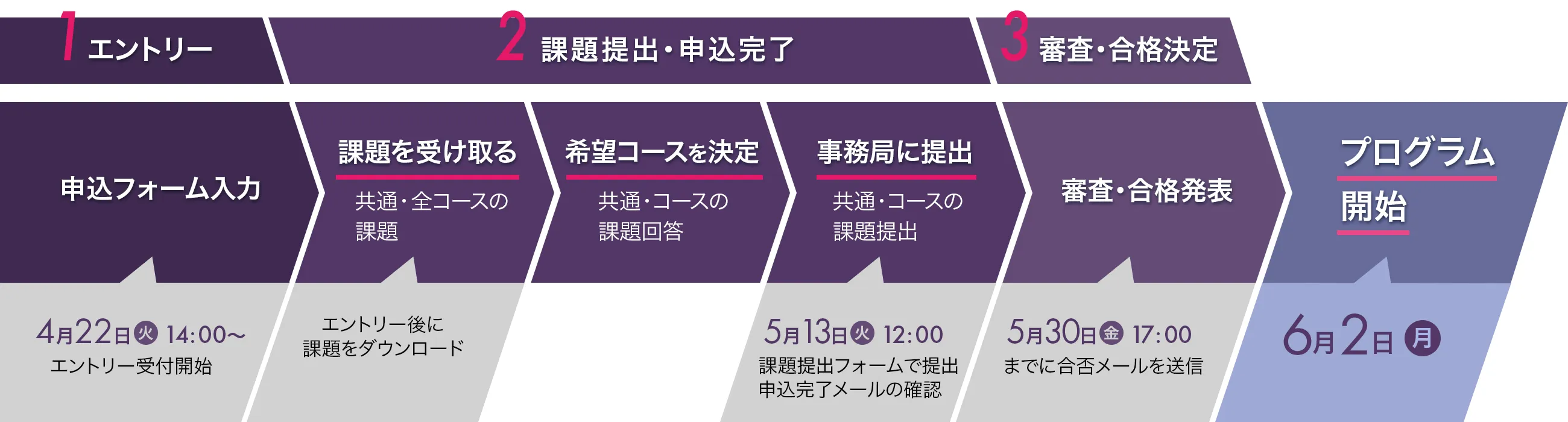 エントリーからプログラム開始までのフロー図